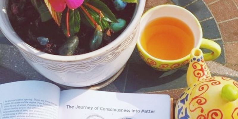 Habits to support your evolution